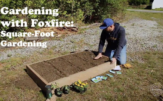 Gardening with Foxfire: Square-Foot Gardening