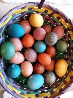 Dyeing Easter Eggs