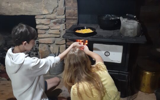 Intro to Wood Stove Cooking