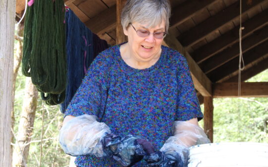 Dyed in the Wool: Finding Colors in Nature