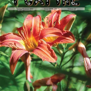 Foxfire Magazine Spring/Summer 2026 Issues 229 & 230 Volume 60